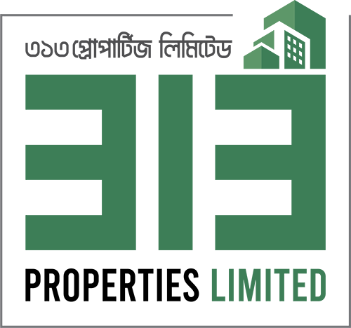 313 Properties Limited